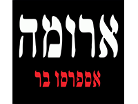 לוגו 4